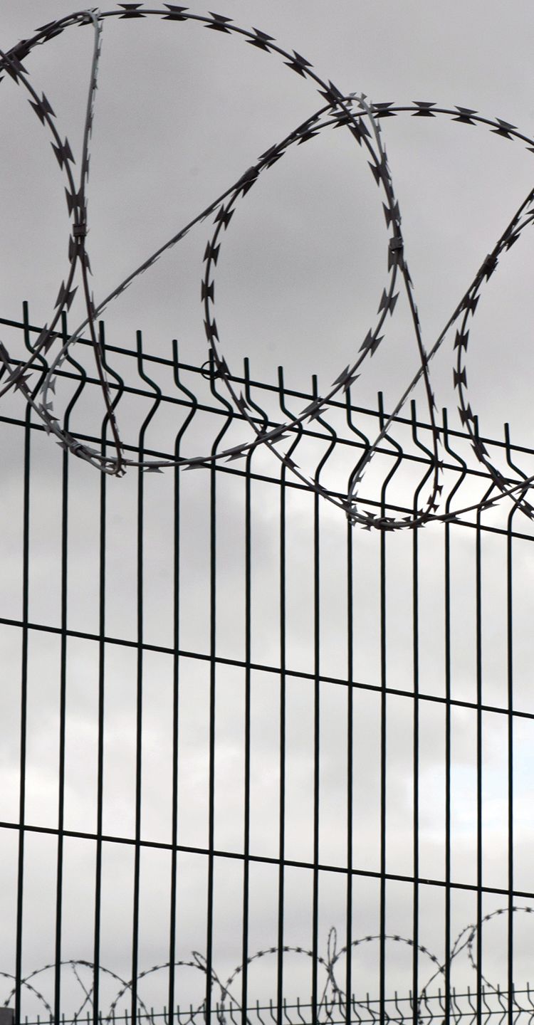 barbed wire